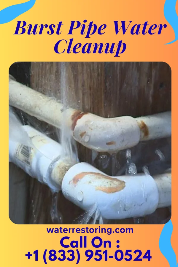 Burst Pipe Water Cleanup in Safford, AZ
