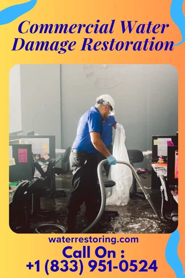 Commercial Water Damage Restoration in Safford, AZ