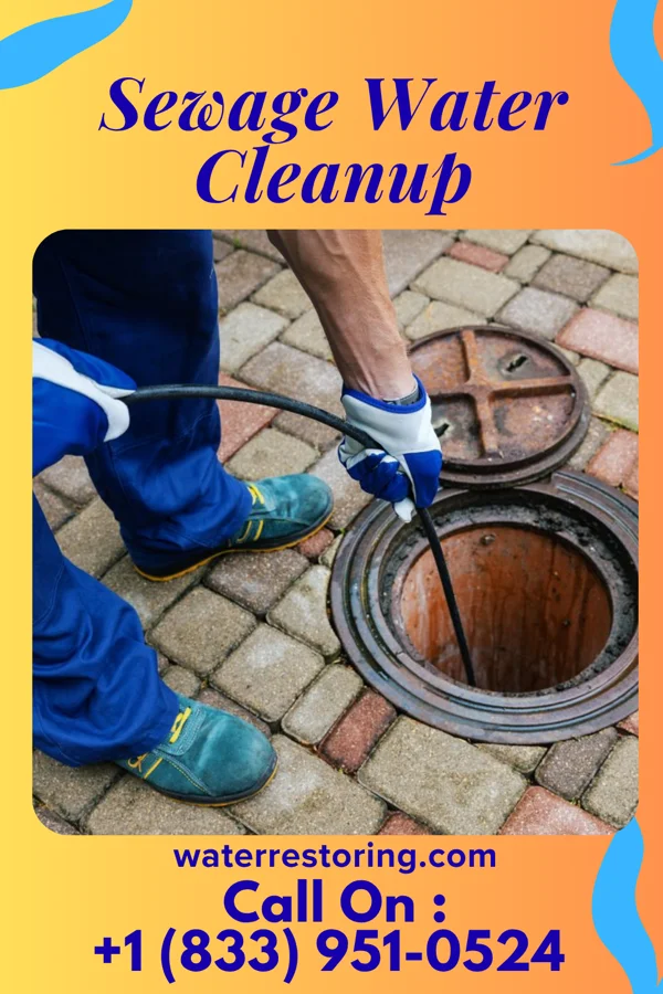 Sewage Water Cleanup in Safford, AZ